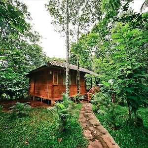 Resort Bamboo Creek, Vaduvanchal
