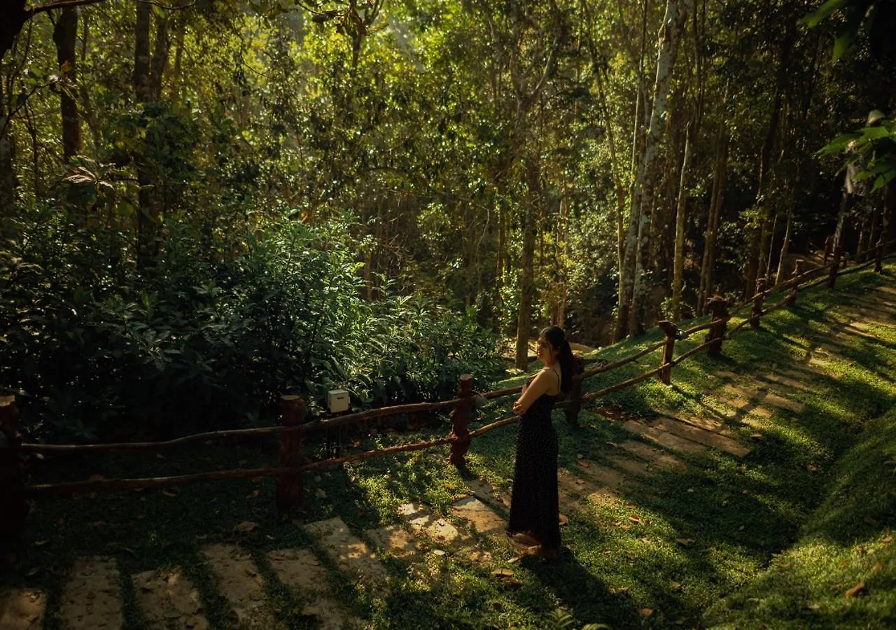 Chembarathi Wayanad Boutique Resort Vaduvanchal