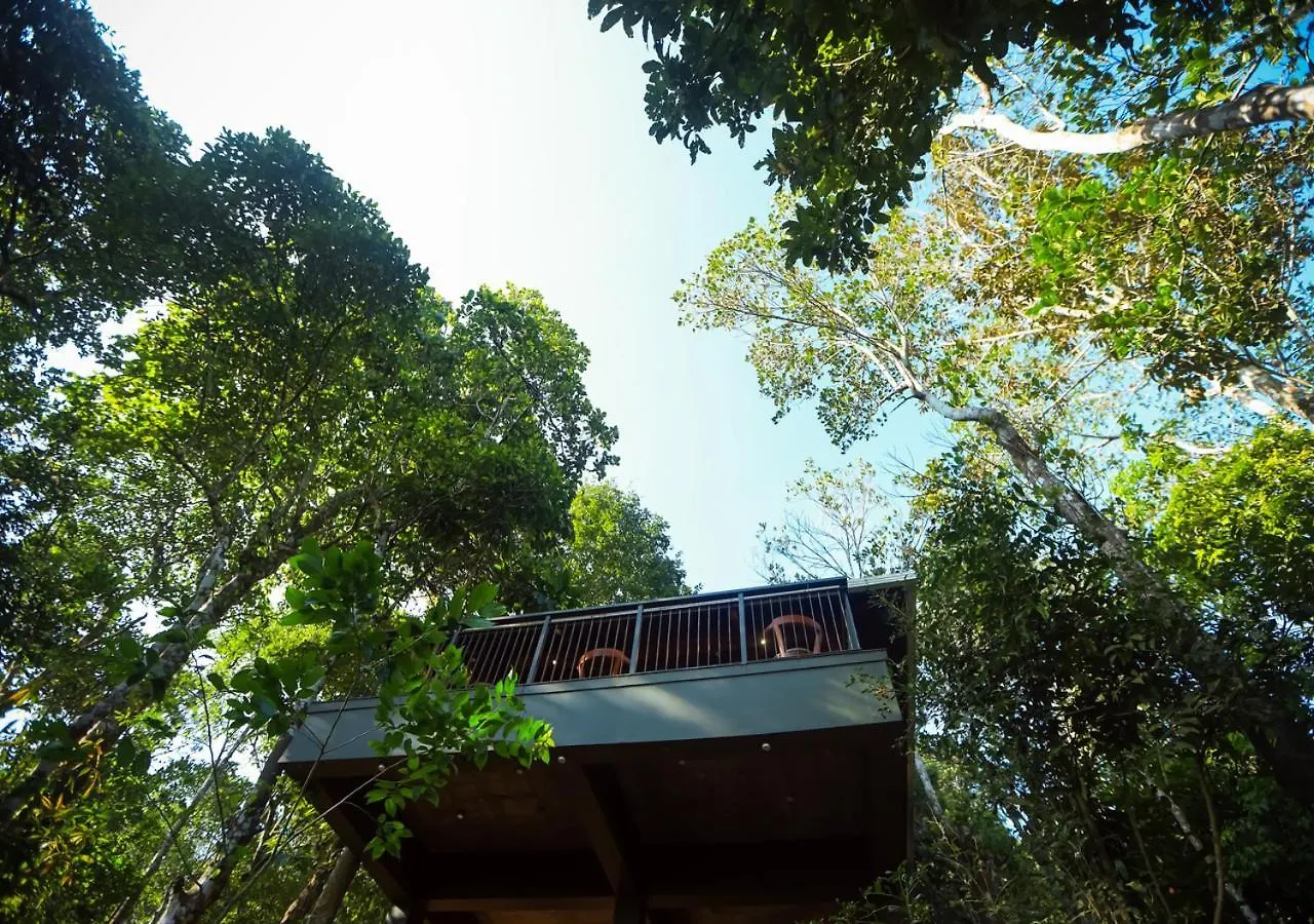 Chembarathi Wayanad Boutique Resort Vaduvanchal 0*,